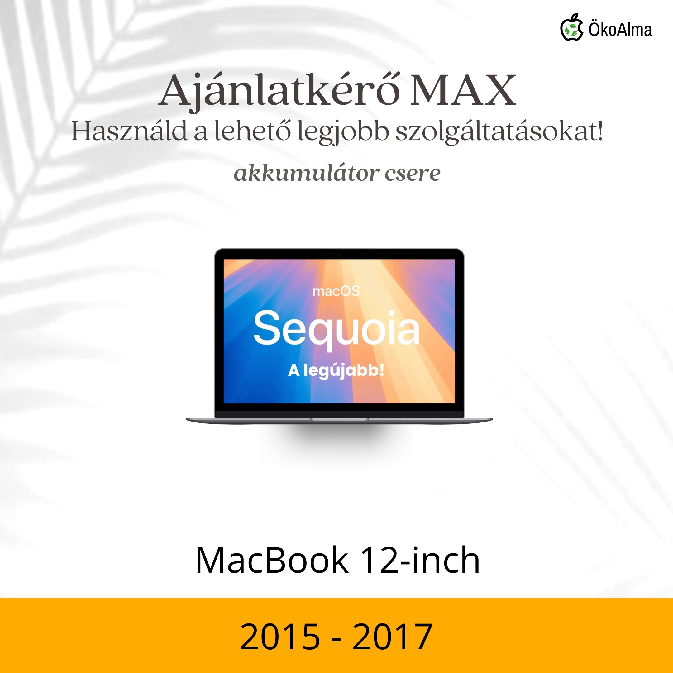 MacBook 12-inch (2015-2017)