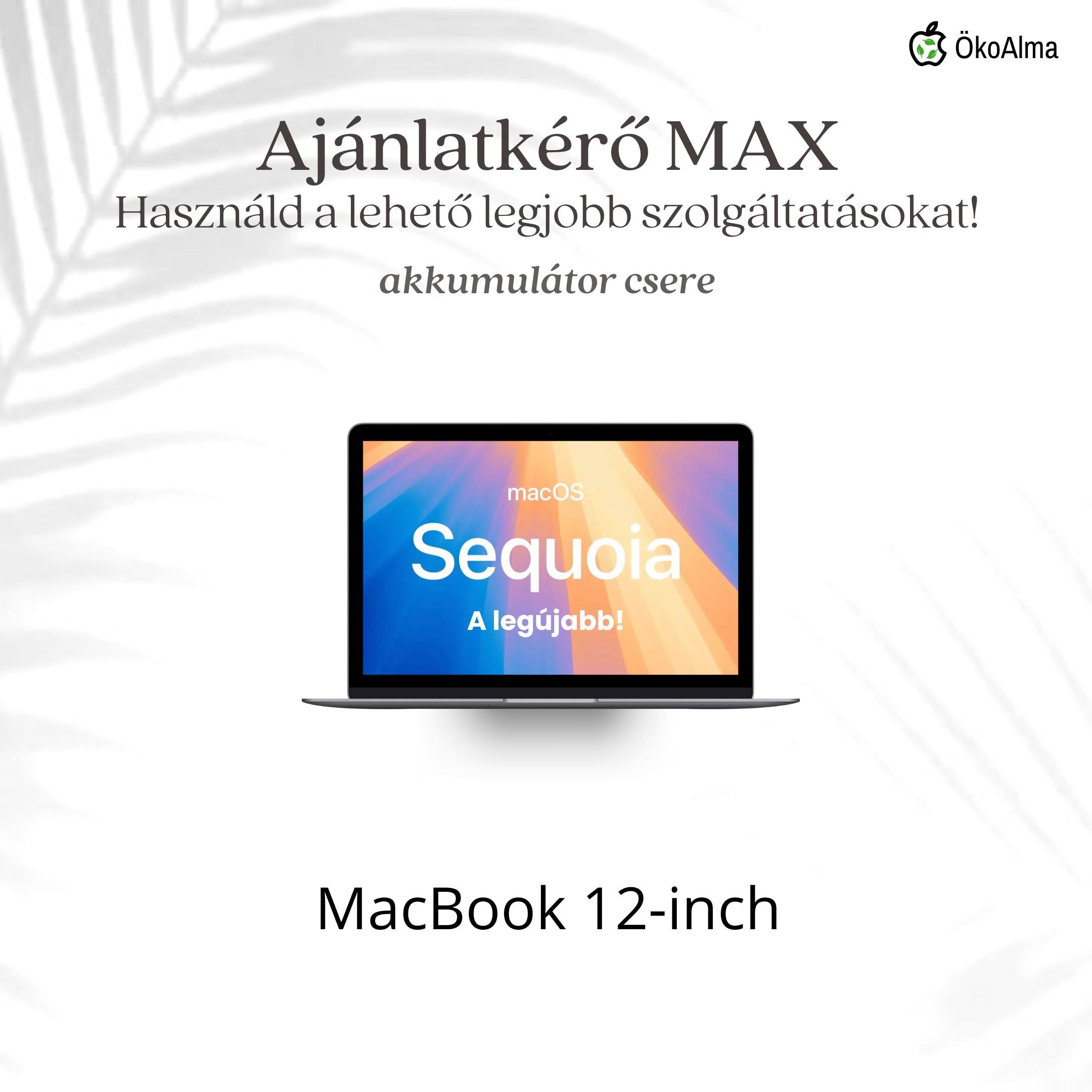 MacBook 12-inch (2015-2017)
