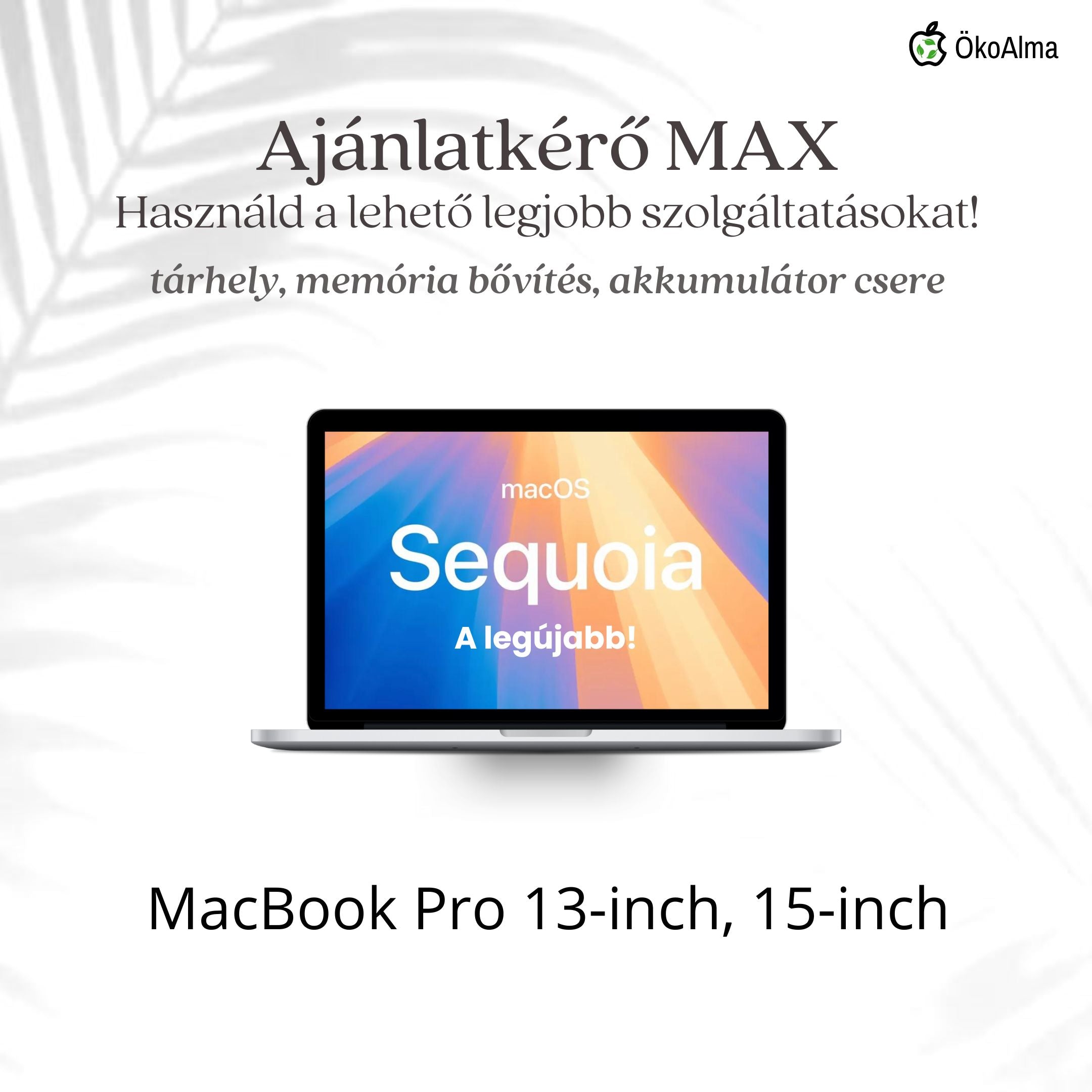MacBook Pro (2012-2017)