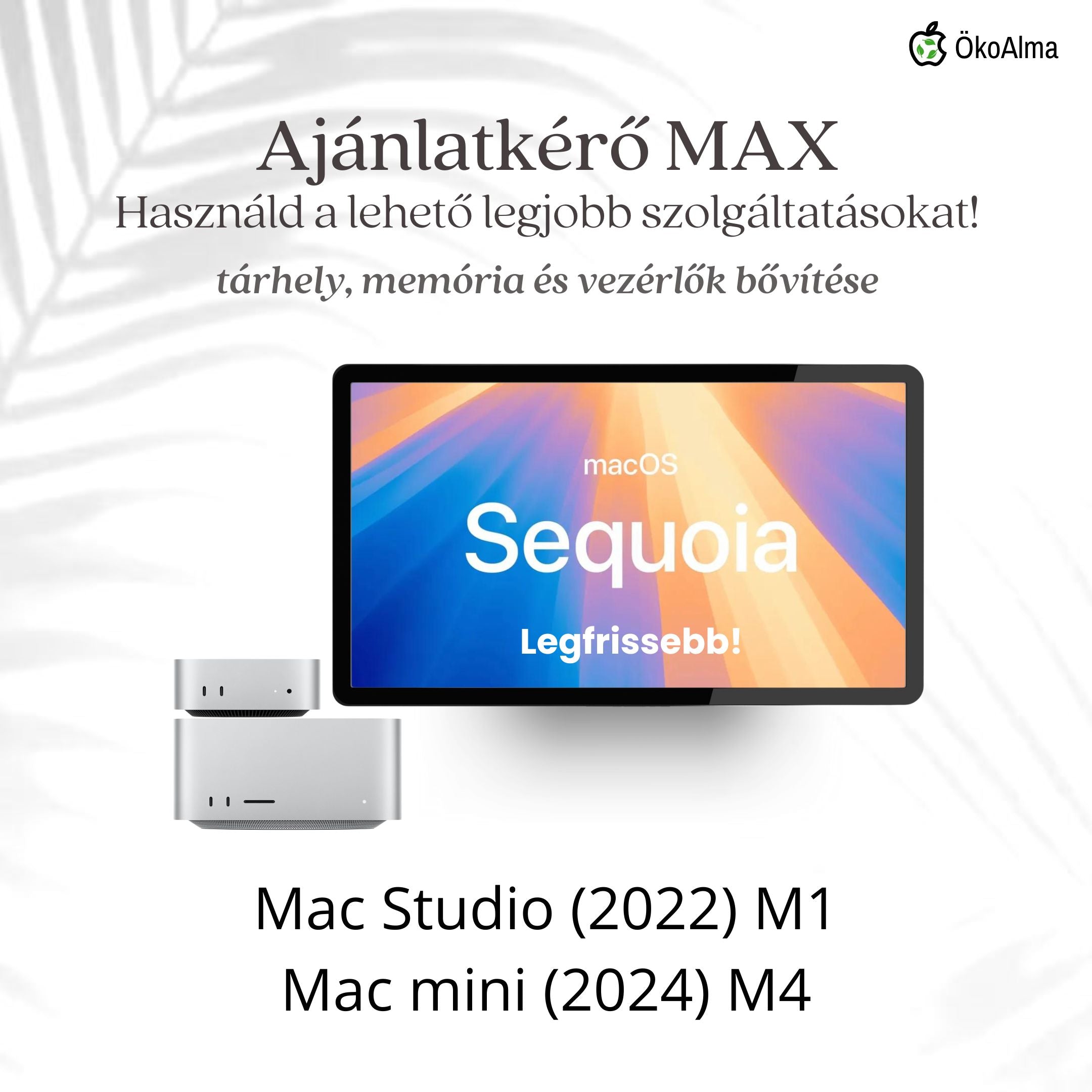 Mac Studio (2022), Mac mini (2024)
