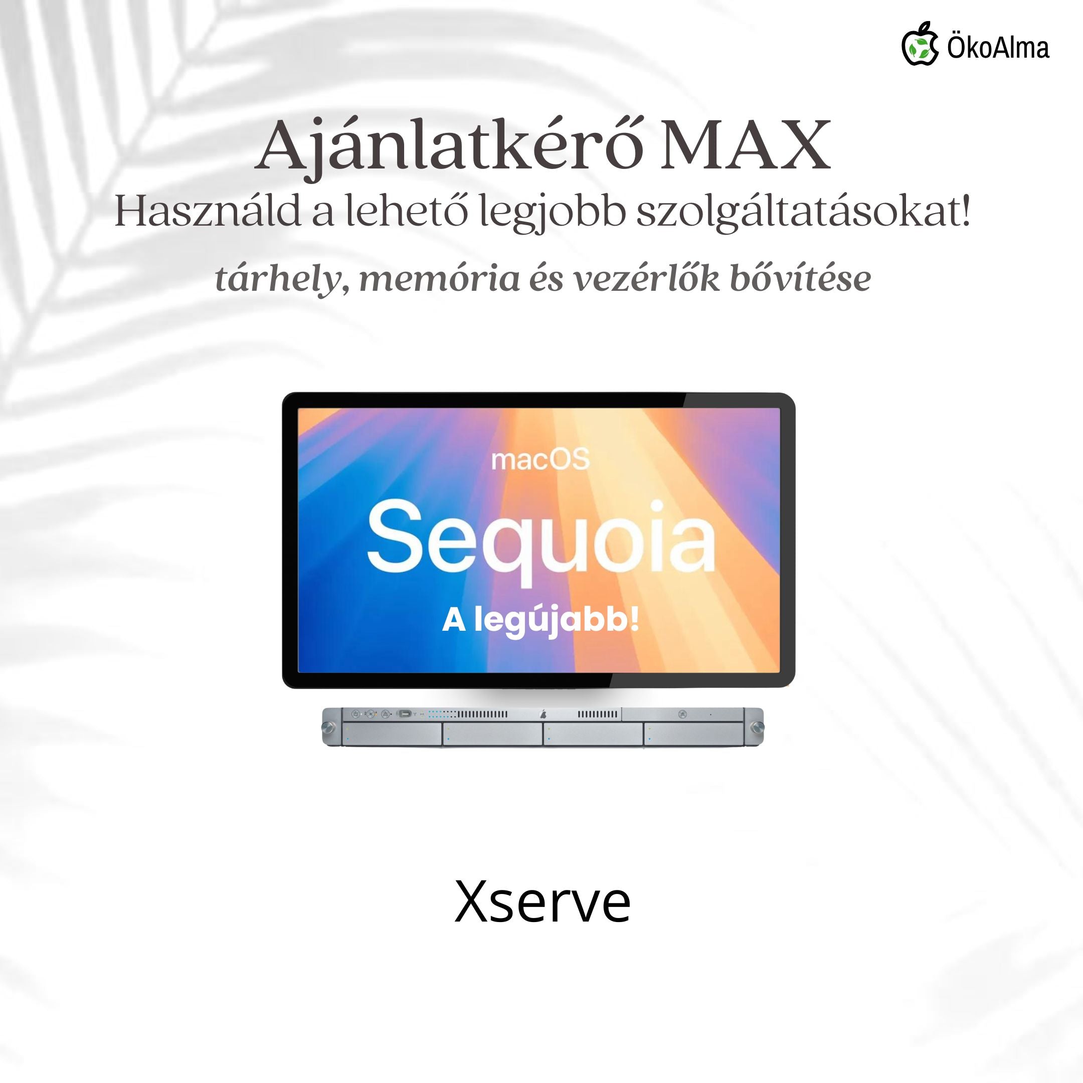 Xserve (2008-2009)
